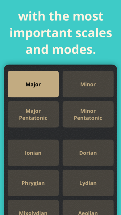 ScaleBank: Guitar Scales screenshot 1