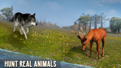 Scary Wolf Online screenshot 2