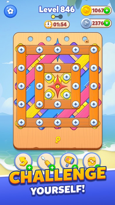 Screw Puzzle, Nuts & Bolts screenshot 1