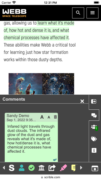 Scrible Extension screenshot 1