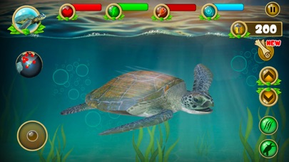 Sea Turtle Survival Sim Games screenshot 5