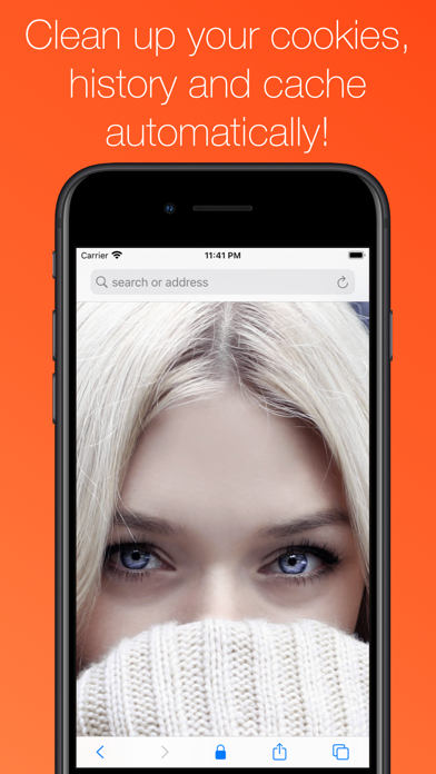 Secret Browser screenshot 5