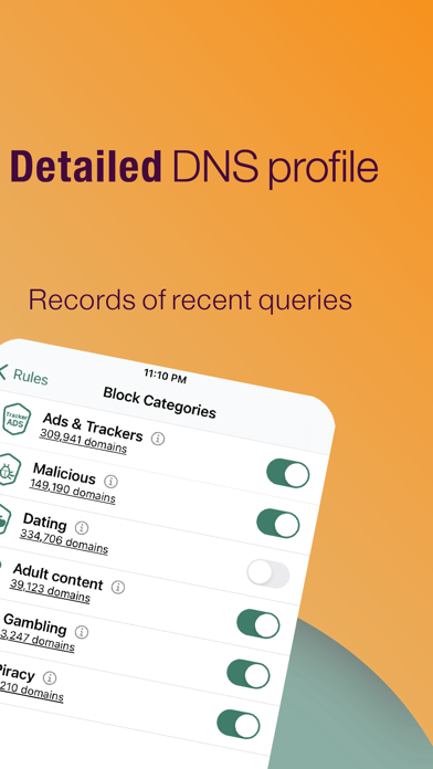 Secure DNS & Firewall screenshot 1