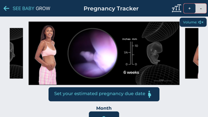 See Baby Grow screenshot 3