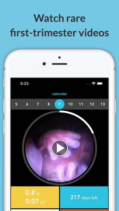 See Baby Pregnancy Guide screenshot 5