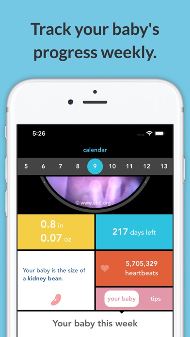See Baby Pregnancy Guide screenshot 3
