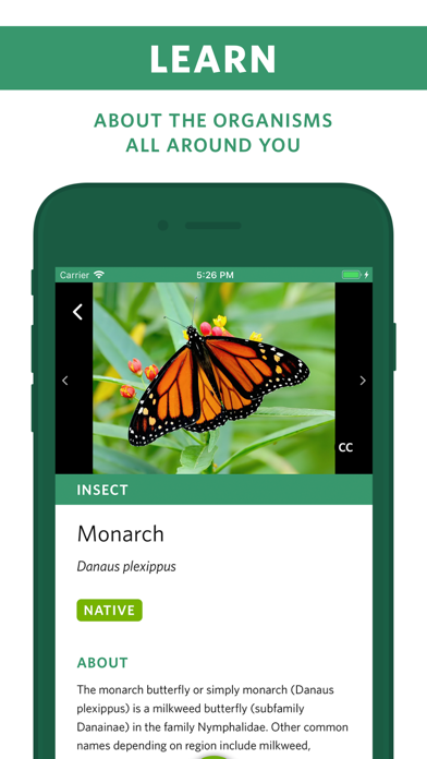 Seek by iNaturalist screenshot 4