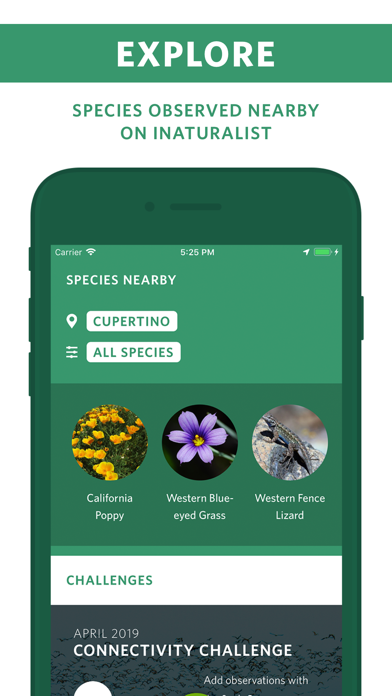 Seek by iNaturalist screenshot 2