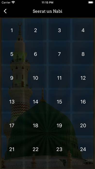 Seerat Un Nabi Biography screenshot 4
