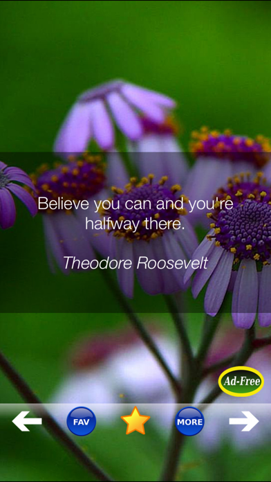 Self Help Improvement Quotes! screenshot 2