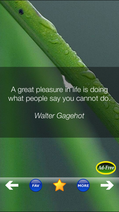 Self Help Improvement Quotes! screenshot 1