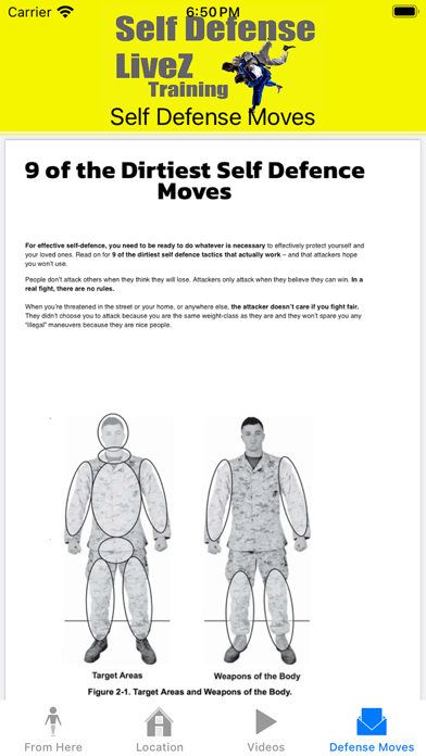 SelfDefenseLiveZ screenshot 1