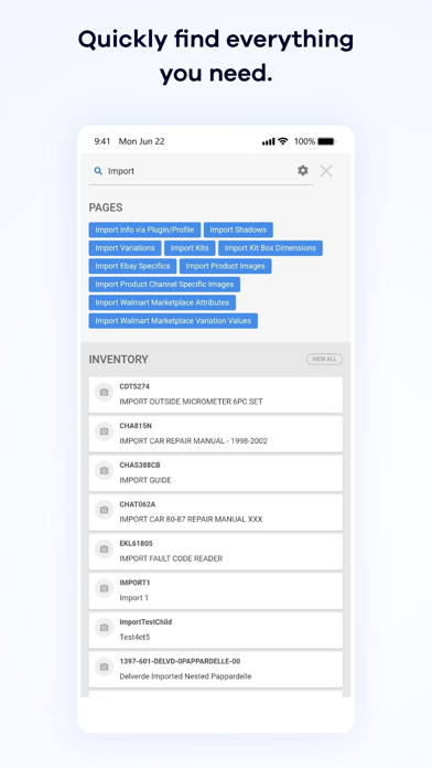 Sellercloud screenshot 2