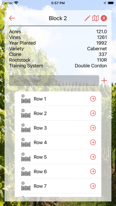 Sentinel Vine Manager screenshot 2
