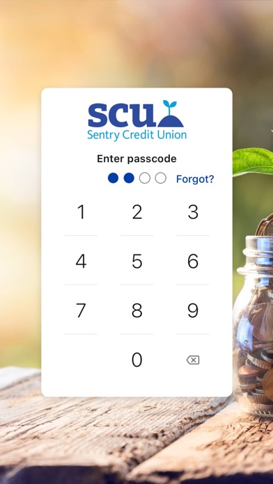 Sentry CU screenshot 3