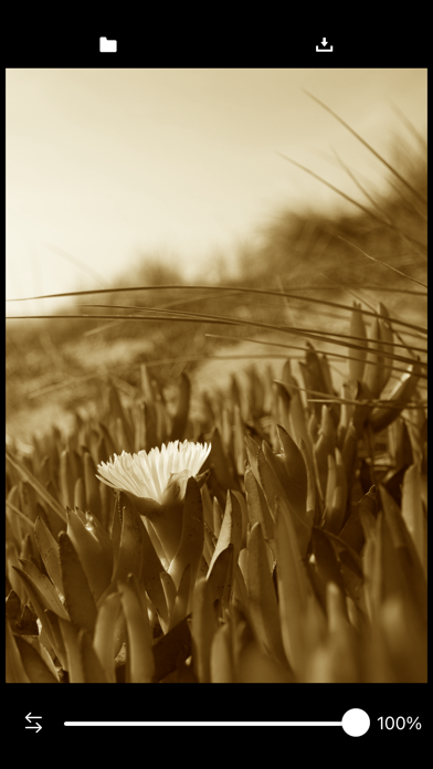 Sepia / Monochrome Photo screenshot 3