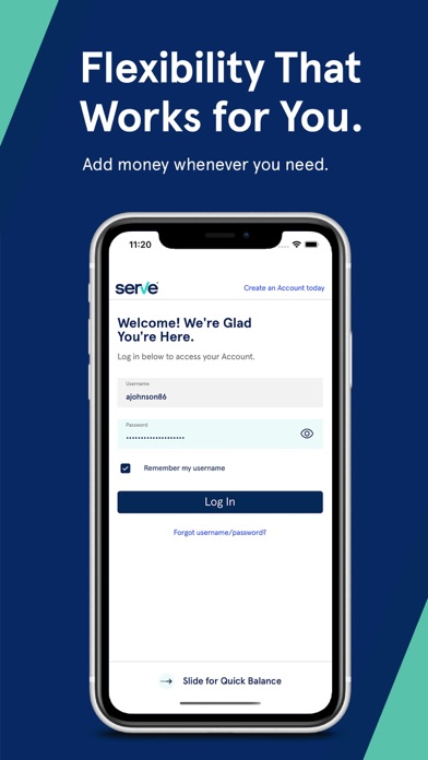 Serve screenshot 4