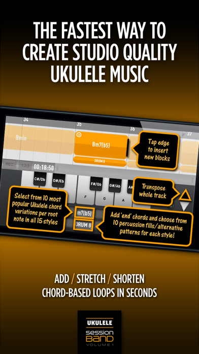 SessionBand Ukulele Band 1 screenshot 4