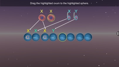 Sex Determination- EduTech Era screenshot 3
