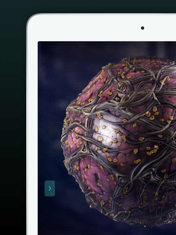 Shade screenshot 8