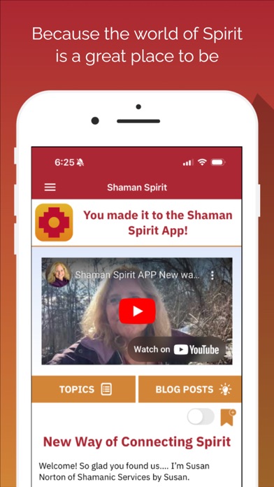 Shaman Spirit screenshot 4