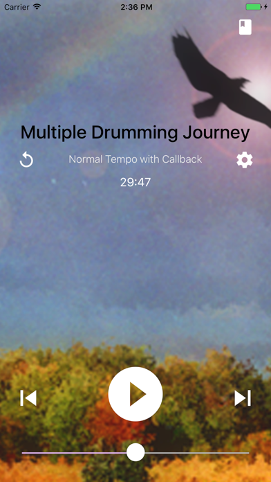 Shamanic Journey Drumming - Frauke Rotwein screenshot 3