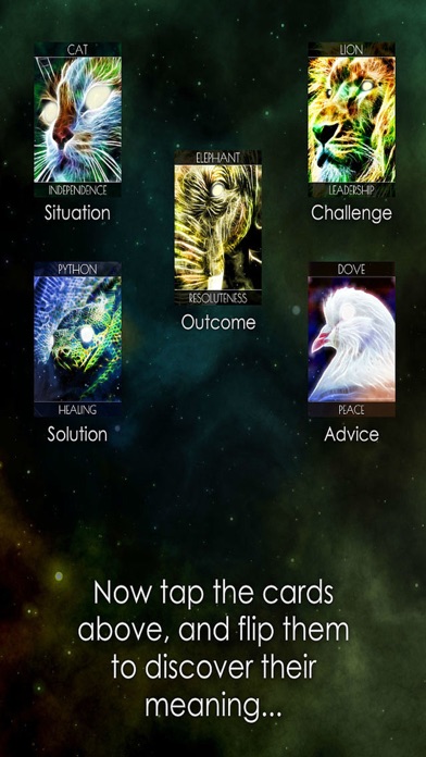 Shamanic Oracle Cards screenshot 4