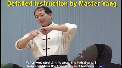 Shaolin Kung Fu Fundamental screenshot 4