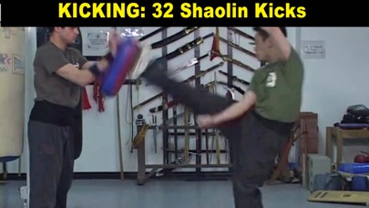 Shaolin Kung Fu Fundamental screenshot 1