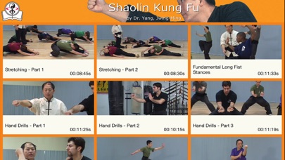 Shaolin Kung Fu Fundamental screenshot 5