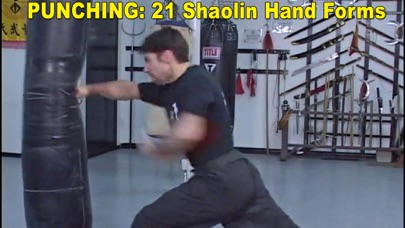 Shaolin Kung Fu Fundamental screenshot 2