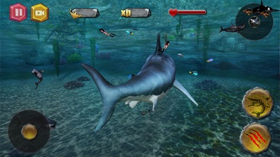 Shark io screenshot 1