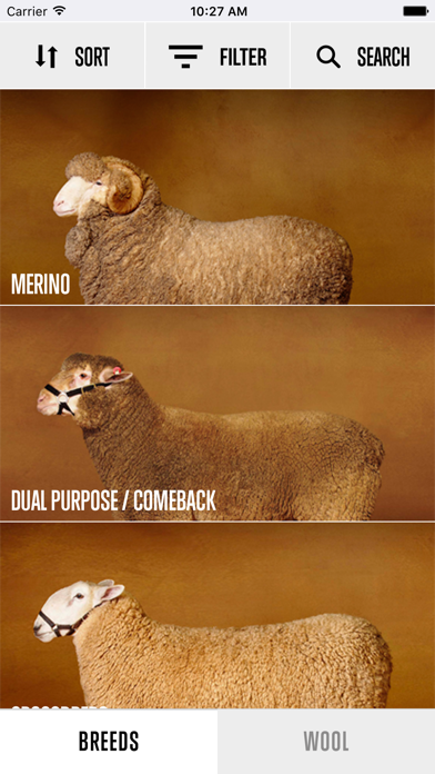 Sheep Breed Compendium by AWEX screenshot 3