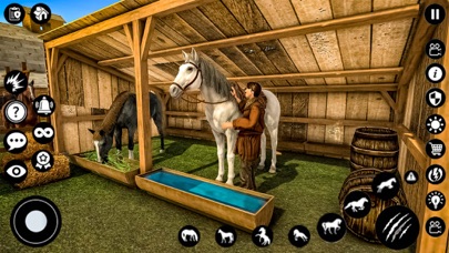Shelter Horse - Star Stallion screenshot 5