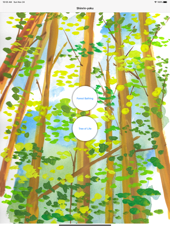 Shinrin-yoku - Forest Bathing screenshot 10