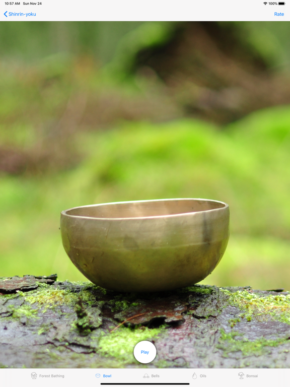 Shinrin-yoku - Forest Bathing screenshot 5