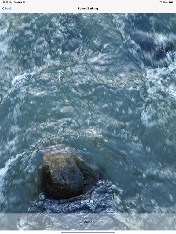 Shinrin-yoku - Forest Bathing screenshot 6