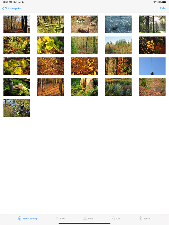 Shinrin-yoku - Forest Bathing screenshot 9