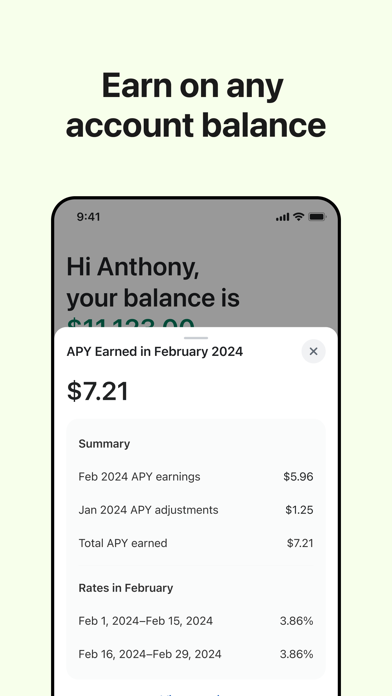 Shopify Balance screenshot 2