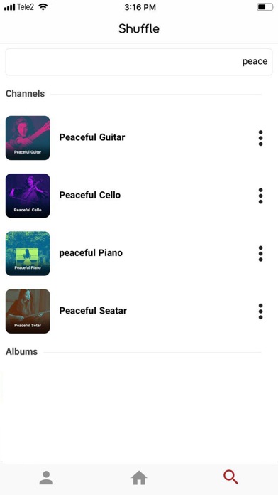 Shuffle Music screenshot 1