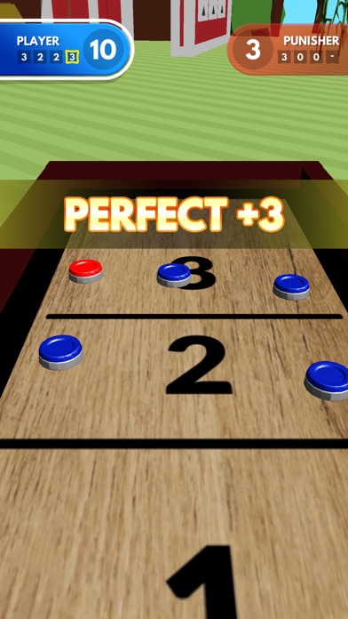Shuffleboard Challenge screenshot 2