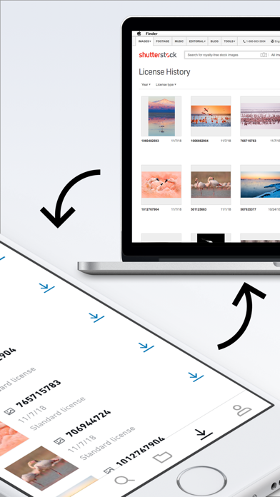 Shutterstock - Stock Photos screenshot 4