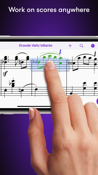 Sibelius screenshot 4