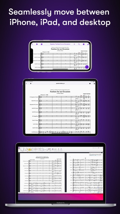 Sibelius screenshot 3