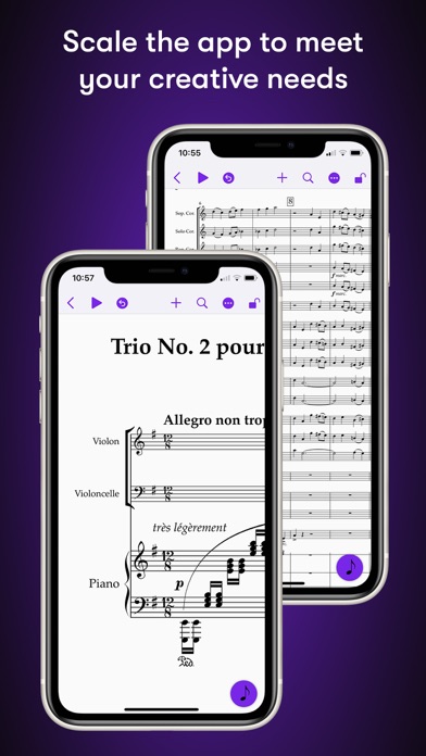 Sibelius screenshot 1