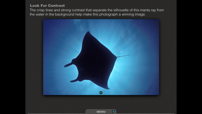 Silhouettes Underwater screenshot 3