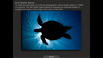 Silhouettes Underwater screenshot 1
