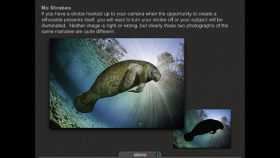 Silhouettes Underwater screenshot 2