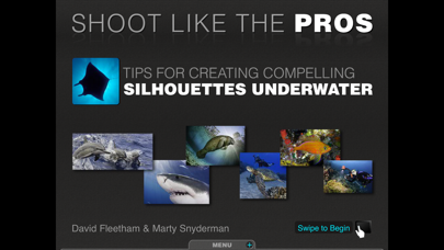 Silhouettes Underwater screenshot 5