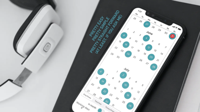 Simple Working Calendar screenshot 1